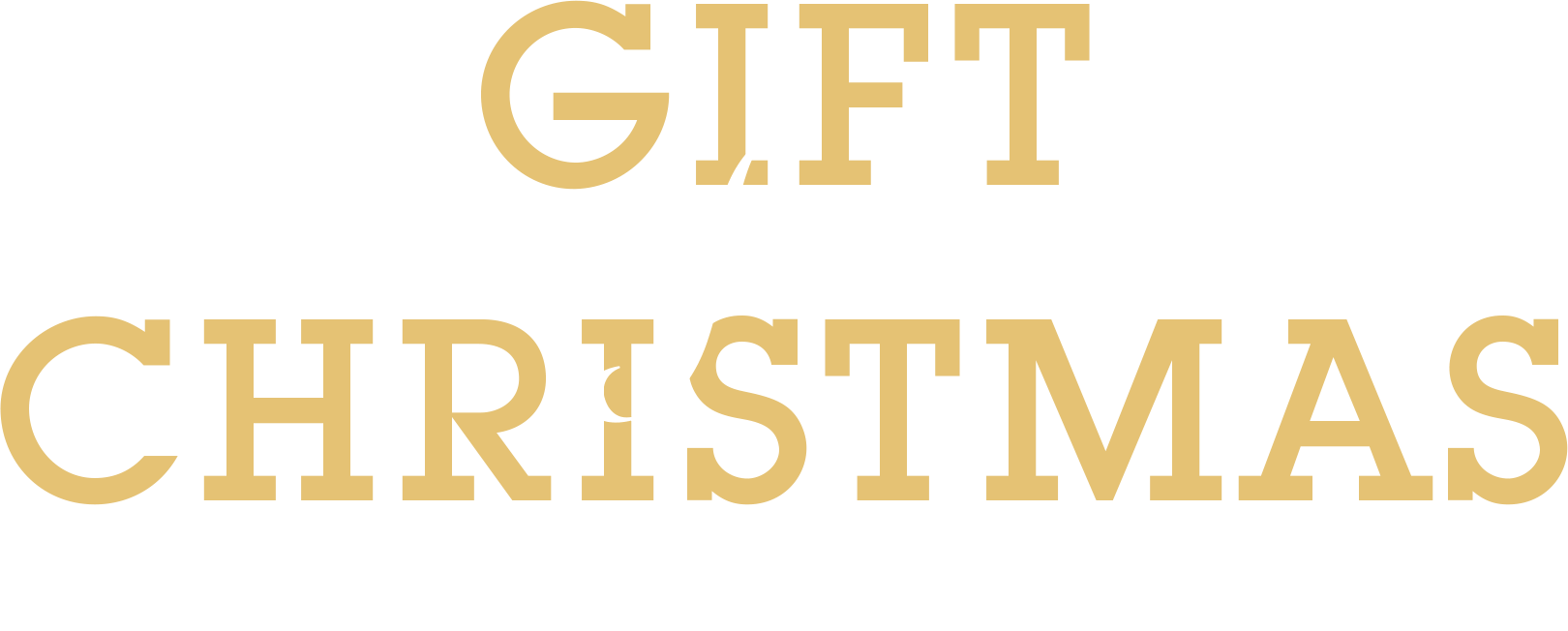 VIORO2020 GIFT for CHRISTMAS
