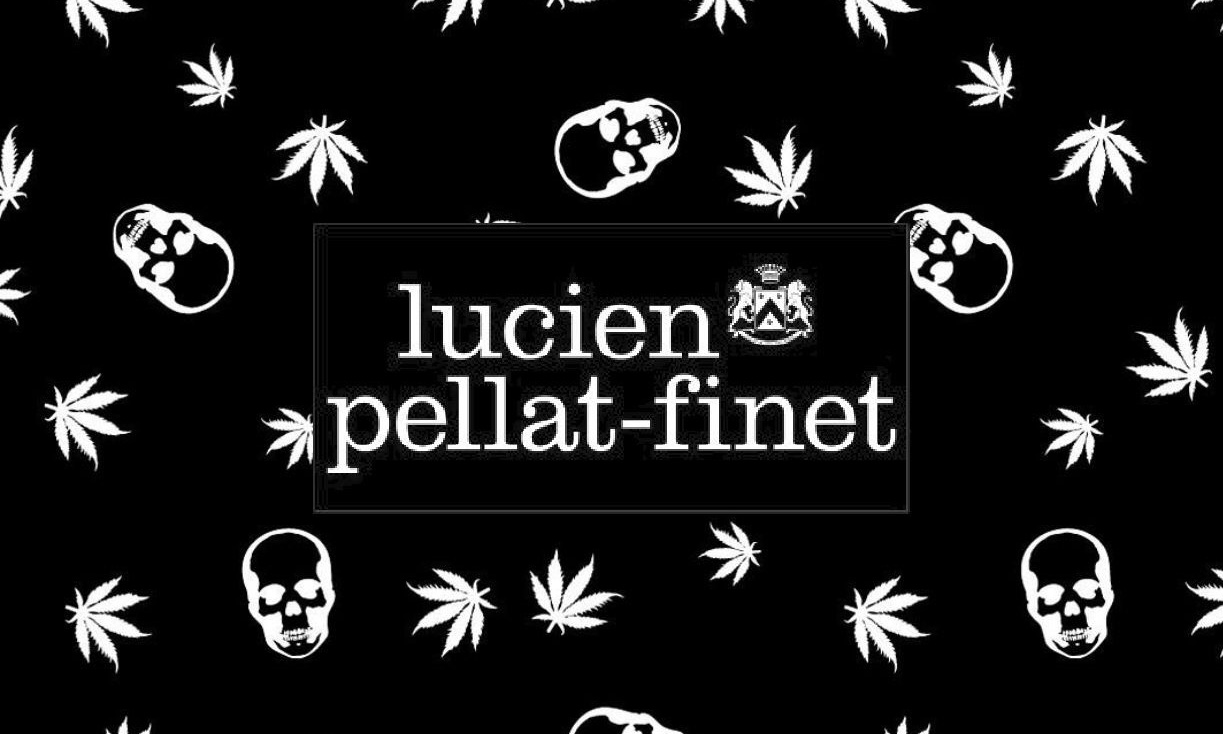 【lucien pellat-finet / ルシアンペラフィネ】”New Nylon Bags” | ショップニュース | VIORO（ヴィオロ）