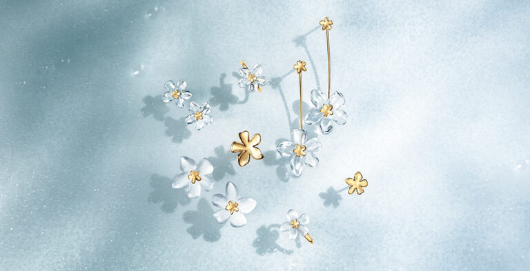 ＜LIMITED MODEL＞TRANSPARENT FLOWER