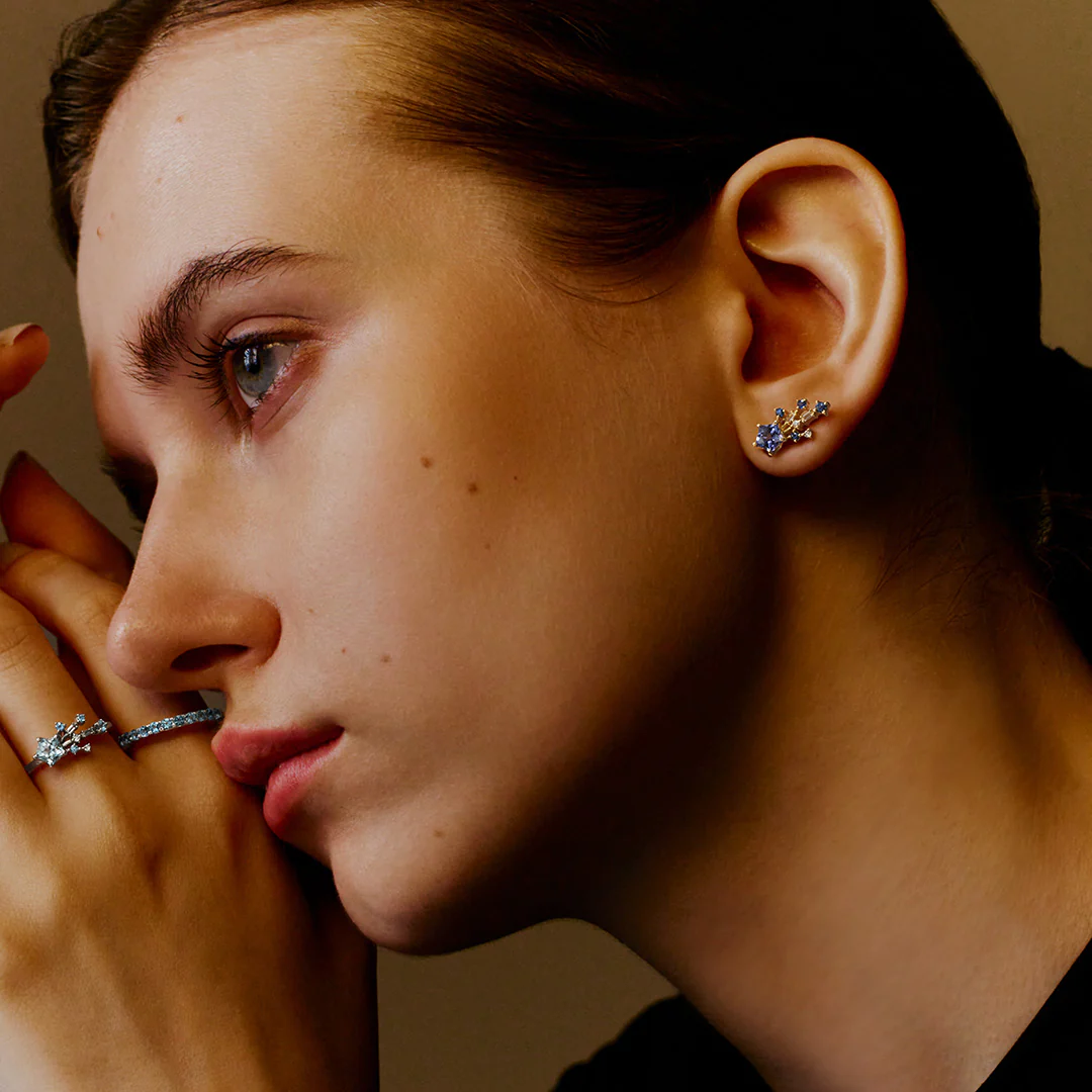 2025クリスマスコレクション