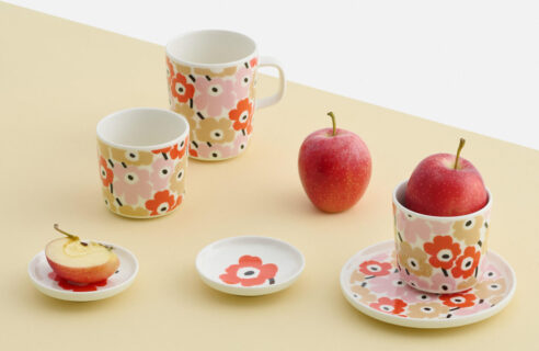 [日本限定] Unikko home