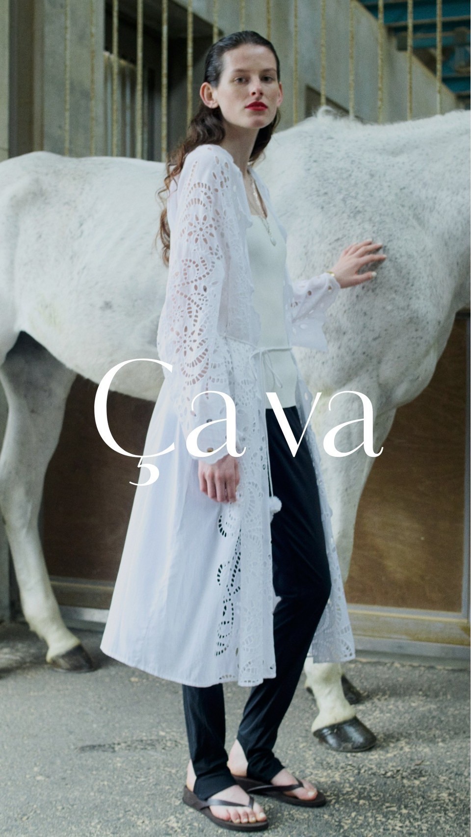 JUNE special feature!　～Cava～